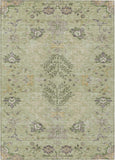 addison chantille acn1156 aloe rug