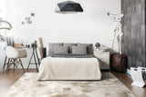dynamic eclipse 63421 6575 beige rug