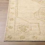 surya destiny dey 2301 beige rug