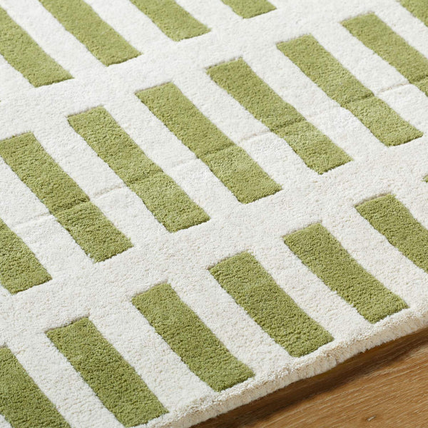 surya jason wu jsw 1001 sage green rug