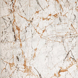 lavin zaria t2067 beige rug