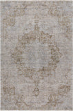 dalyn tabrook tb5 chocolate rug