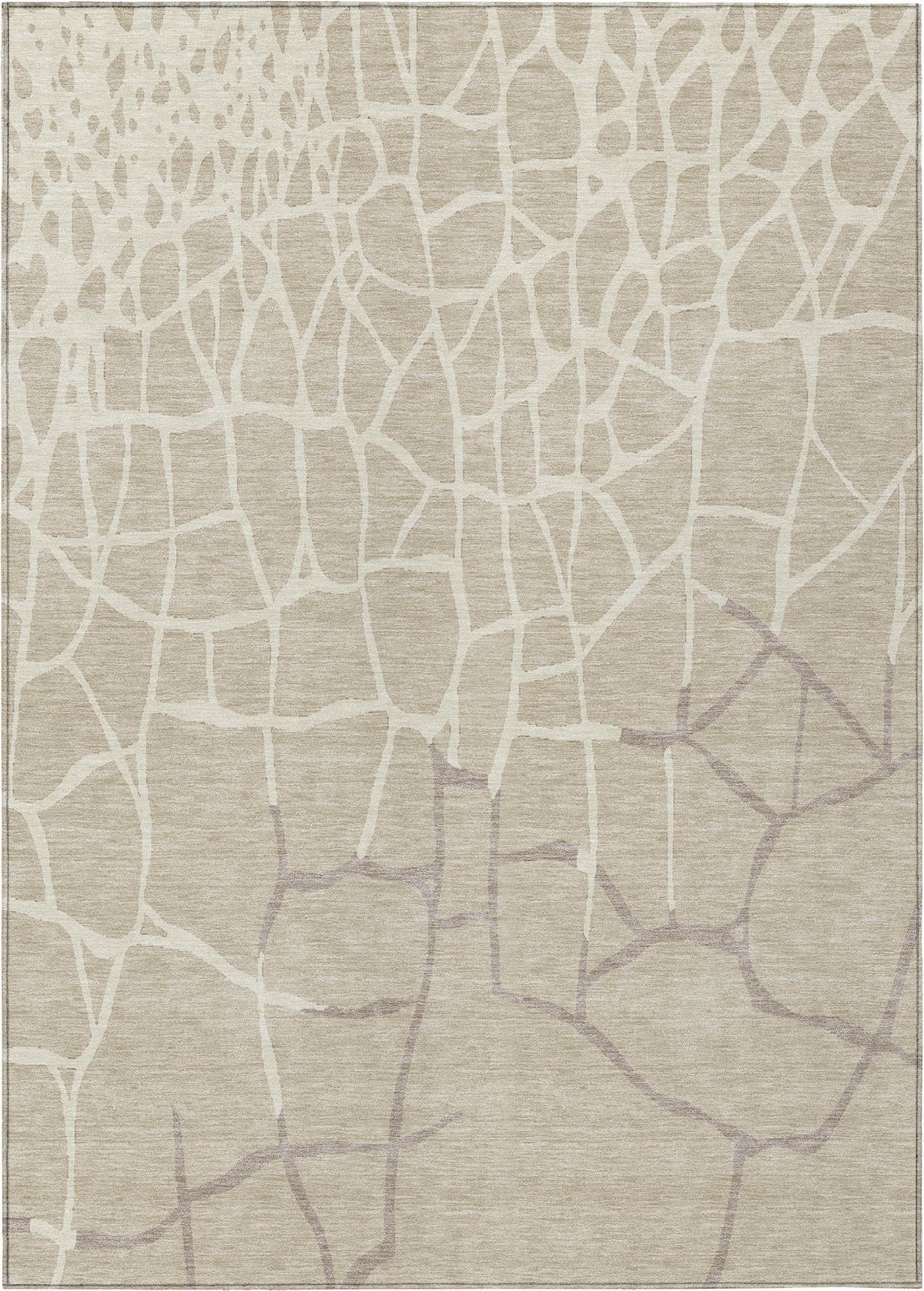 addison chantille acn1049 beige rug