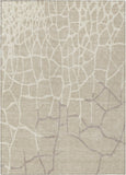 addison chantille acn1049 beige rug