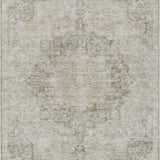 addison chantille acn1238 putty rug