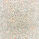 surya piccadilly pdy 2301 tan rug
