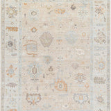surya antalya aat 2314 light brown rug