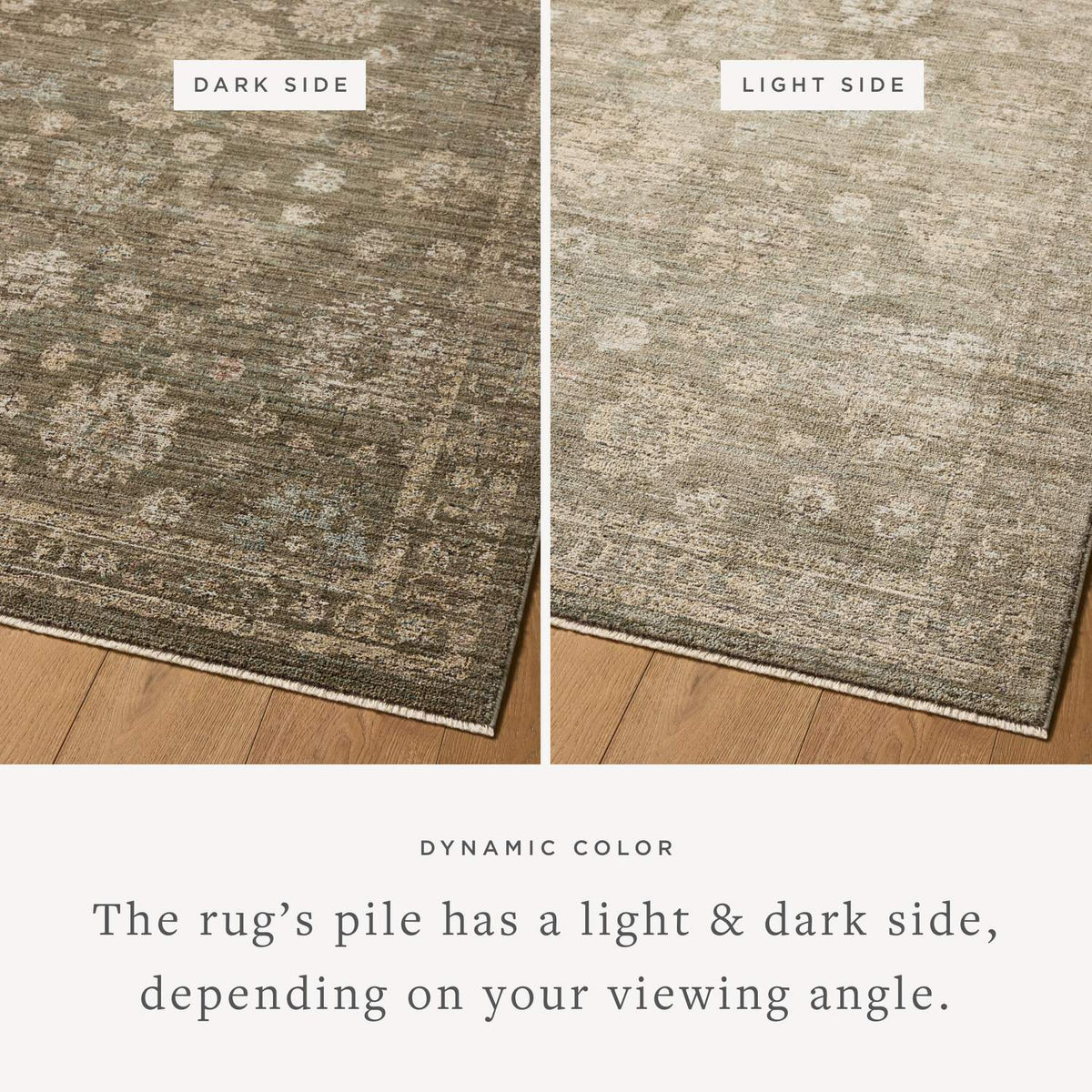 loloi rugs priscilla prl 02 olive sand rug
