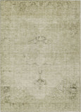addison chantille acn658 beige rug