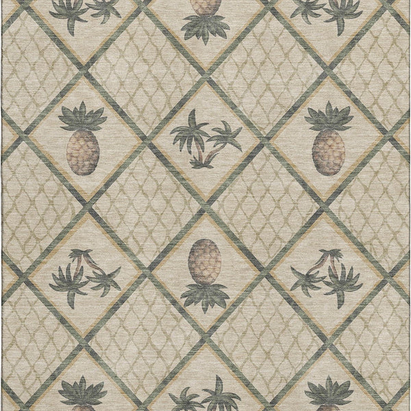 addison mayfield amf162 palm rug
