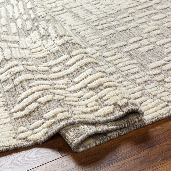 surya tunus tun 2310 taupe rug