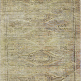 addison chantille acn1631 aloe rug