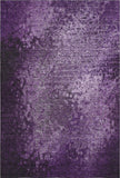 addison mayfield amf565 purple rug