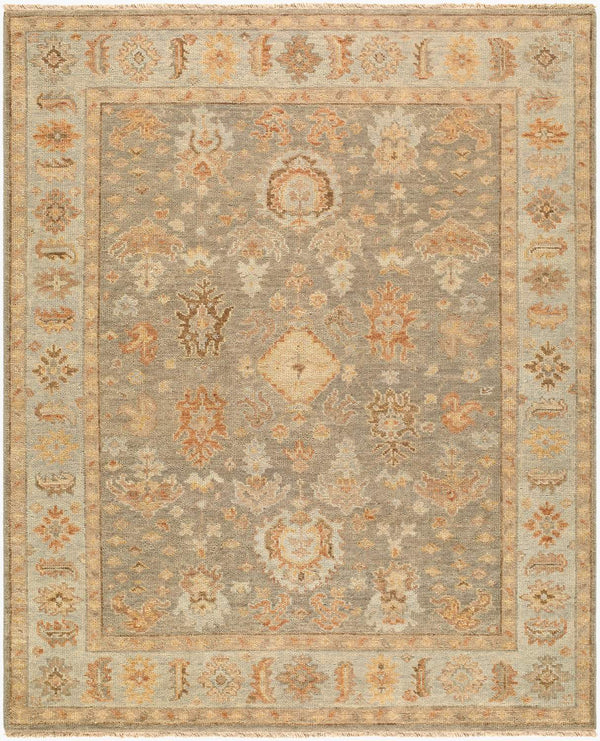 surya biscayne bsy 2322 taupe rug