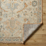 surya biscayne bsy 2320 burnt orange rug
