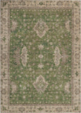 addison chantille acn1739 aloe rug