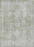 addison chantille acn1229 aloe rug