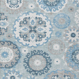 addison chantille acn763 sky rug