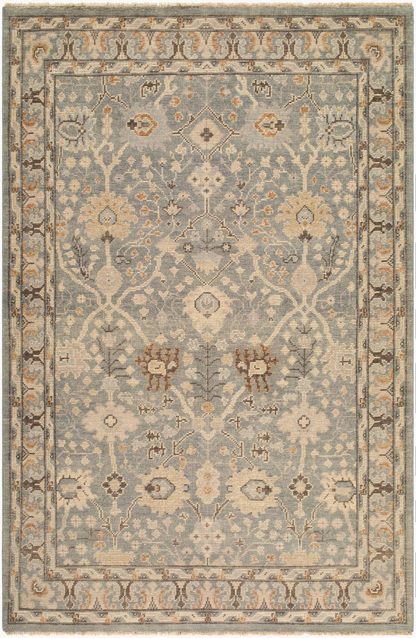 surya reign reg 2311 light brown rug