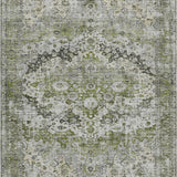 addison chantille acn1755 aloe rug