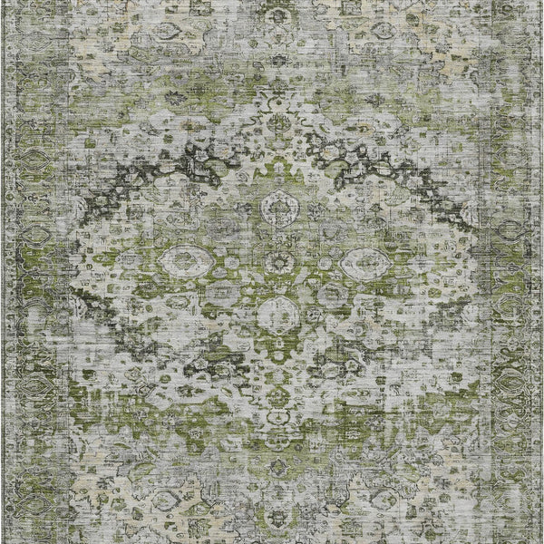 addison chantille acn1755 aloe rug