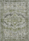addison chantille acn1755 aloe rug
