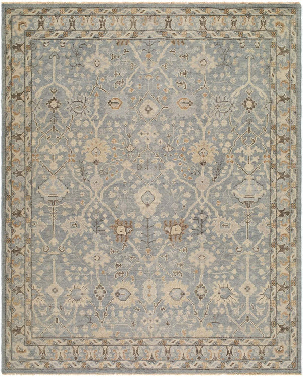 surya reign reg 2311 light brown rug