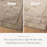 loloi rugs priscilla prl 07 beige earth rug
