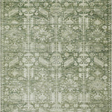 addison chantille acn1771 aloe rug