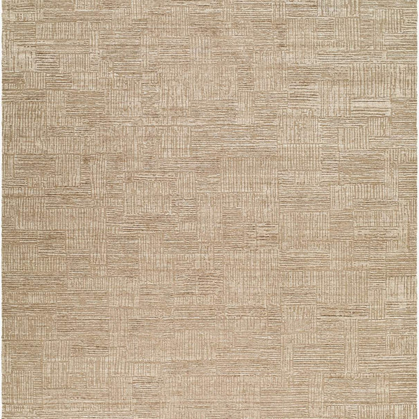surya dilber dbr 2303 taupe rug