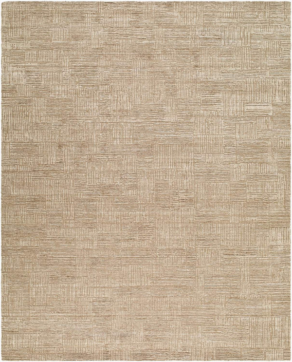 surya dilber dbr 2303 taupe rug