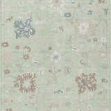 addison chantille acn1854 aloe rug