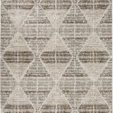 dalyn carmona co8 driftwood rug