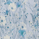 addison chantille acn1503 sky rug