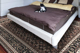dynamic rugs brilliant 72240 330 red rug
