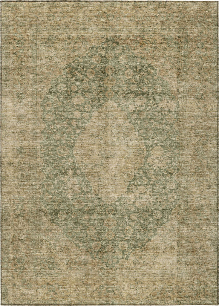 addison chantille acn1657 aloe rug