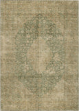 addison chantille acn1657 aloe rug