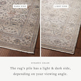 loloi rugs lyra lyr 04 pebble multi rug