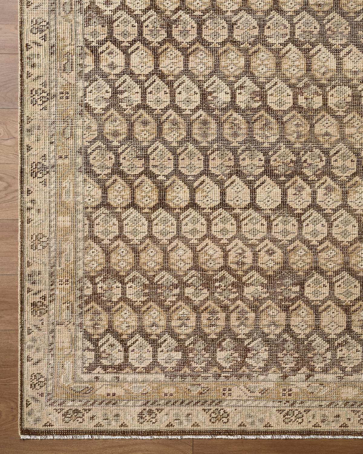 surya agra aaa 2304 taupe rug