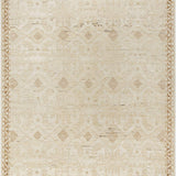 surya agora arg 2300 ivory rug
