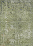 addison chantille acn1629 aloe rug
