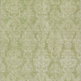 addison chantille acn1659 aloe rug
