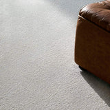 surya epic epi 2309 light gray rug