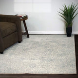 dynamic ancient garden 57162 9646 silver rug