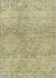 addison chantille acn1745 fern rug