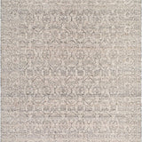 surya exquisite exq 2300 stone rug