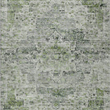 addison chantille acn1832 aloe rug