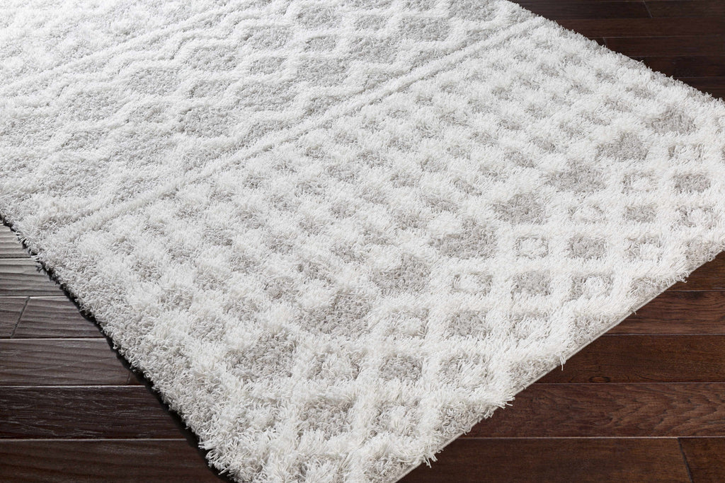 Hauteloom Vernonburg VRNNB White Machine Made Polypropylene Rug