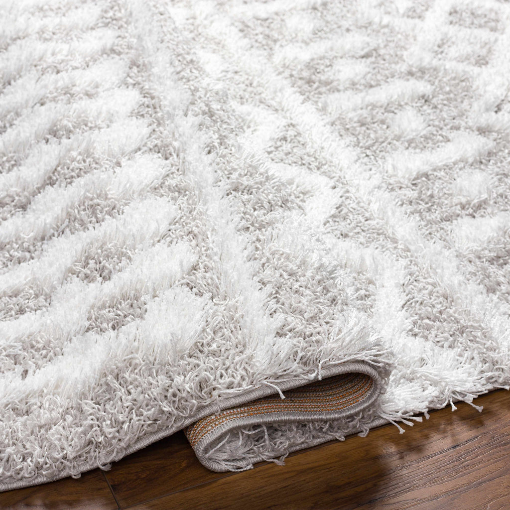 Hauteloom Vernonburg VRNNB White Machine Made Polypropylene Rug