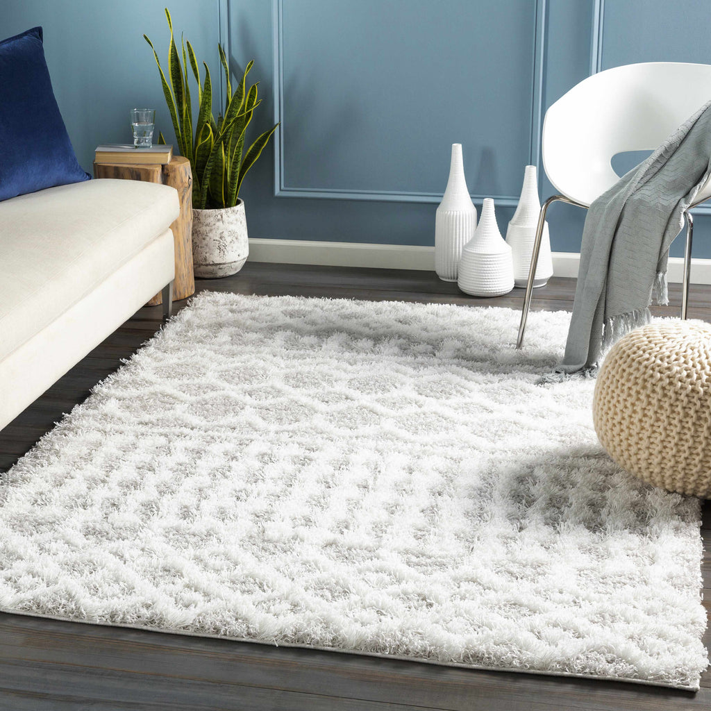 Hauteloom Vernonburg VRNNB White Machine Made Polypropylene Rug